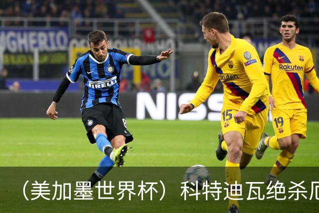 （美加墨世界杯）科特迪瓦绝杀厄瓜多尔 瑞典5:1大胜突尼斯